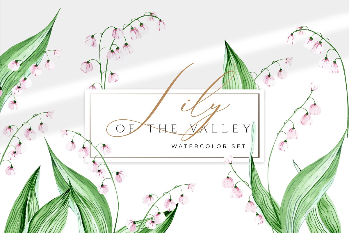Cover image of Meadow Lily Of The Valley Watercolor.