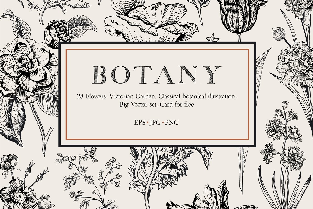 Cover image of Botany. Victorian garden. B&W.