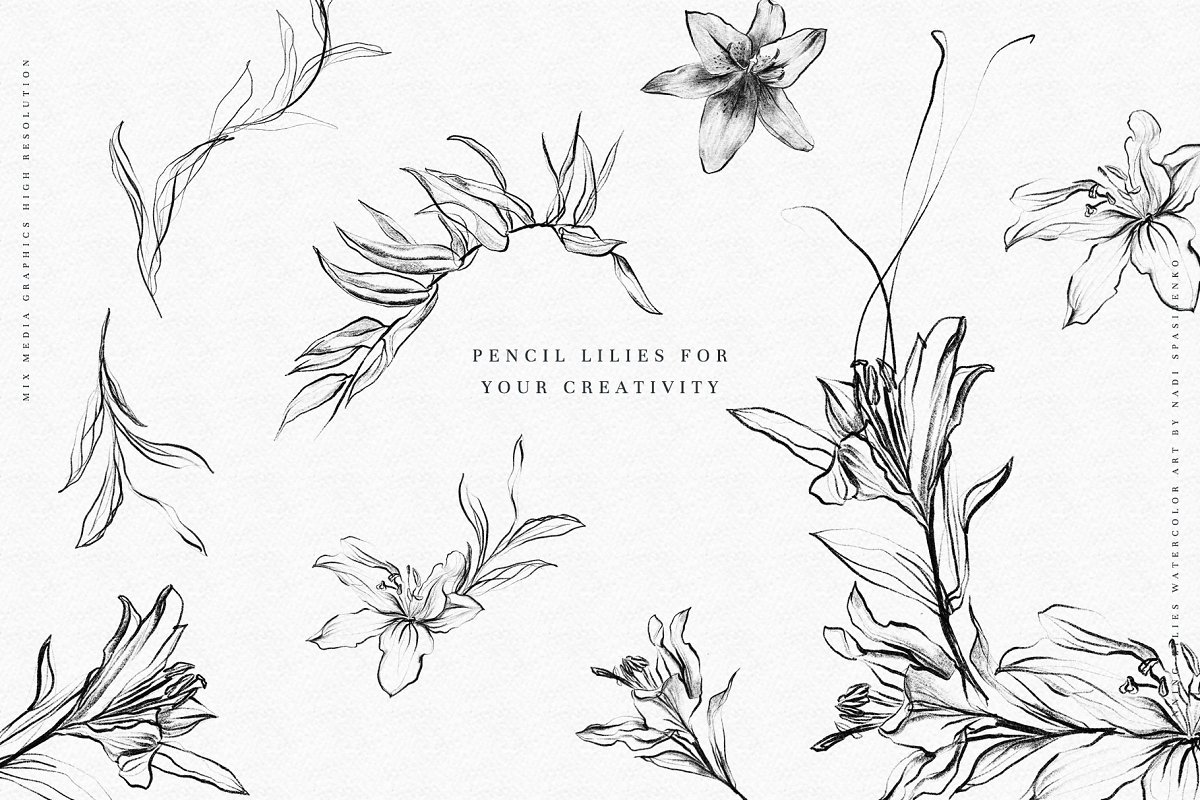 Pencil lilies is perfect for your creativity.