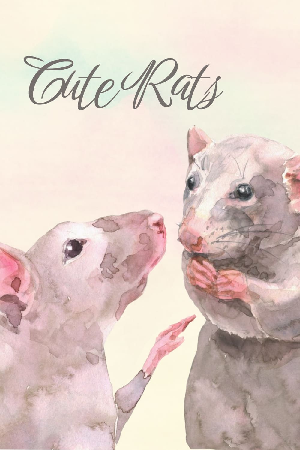 cute rats 04