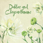 This is a listing for hand painted watercolor clipart of Chrysanthemum Flowers.
