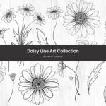 Daisy Line Art Collection.