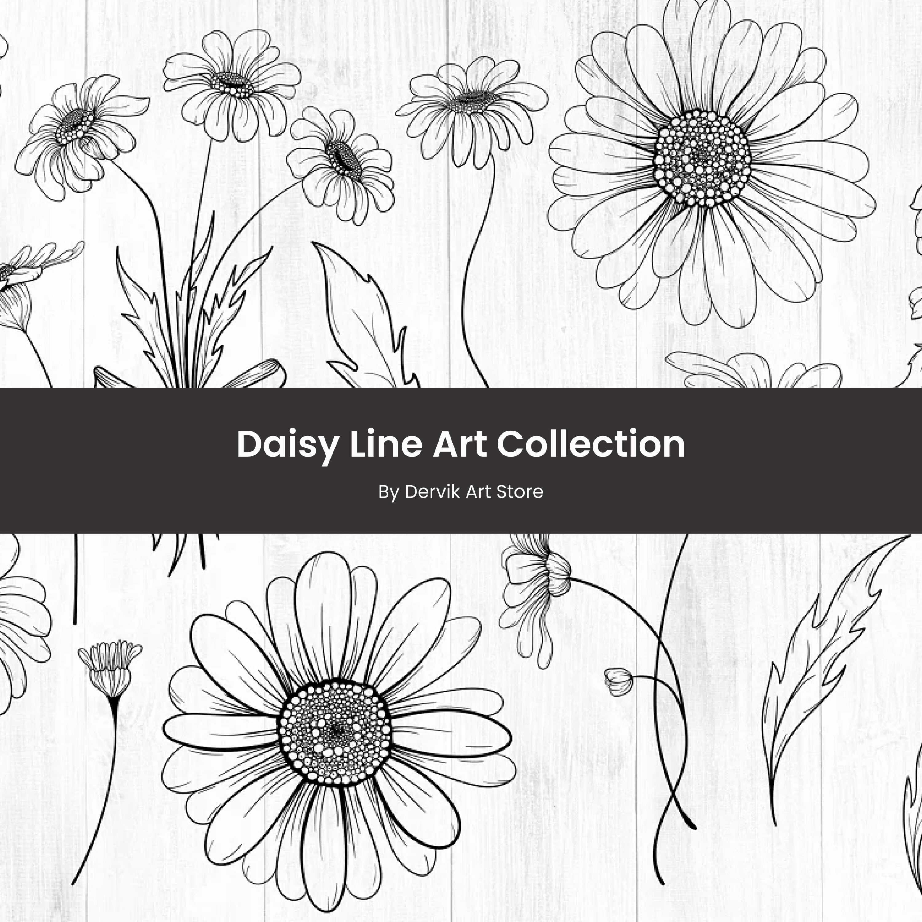 Daisy Line Art Collection.