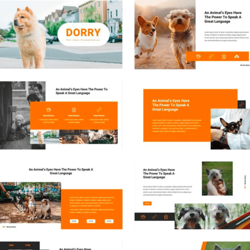 Dorry - Pet Care Google Slides.