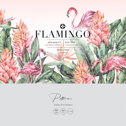 Flamingo, Patterns Set!