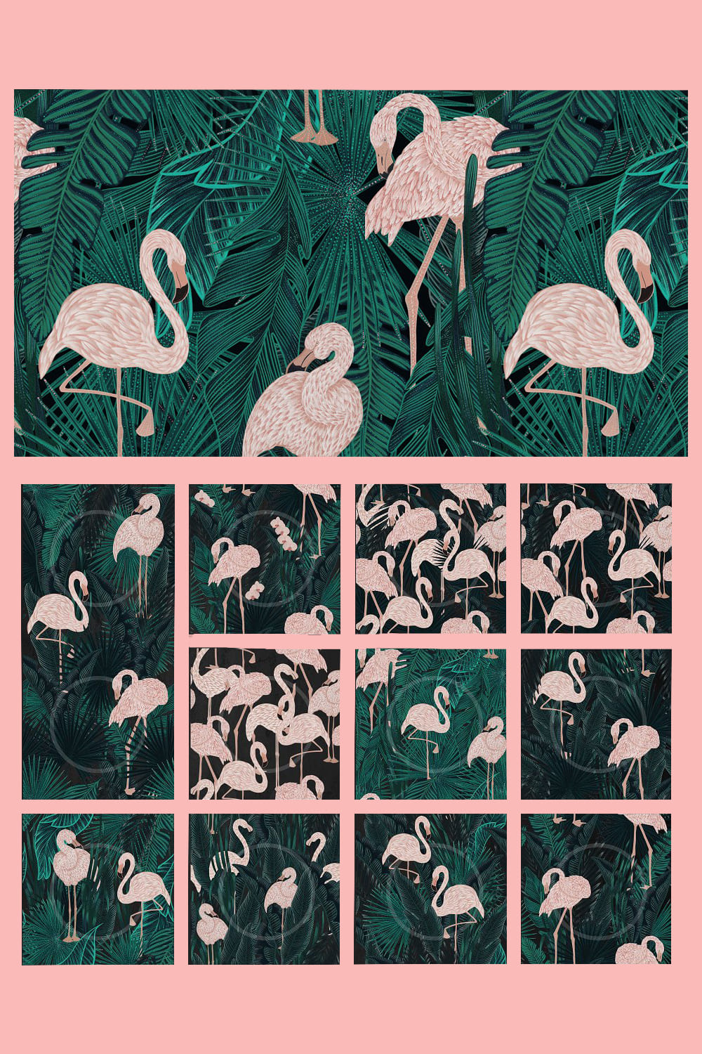 Diverse of flamingo in the different colors.