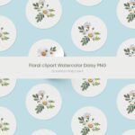 Floral clipart Watercolor Daisy PNG.