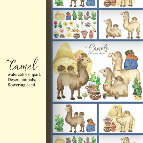 Camel watercolor clipart. Desert animals, flowering cacti.