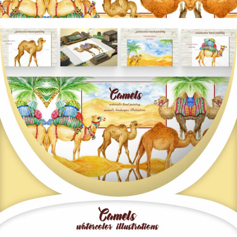 Camels. watercolor illustrations.