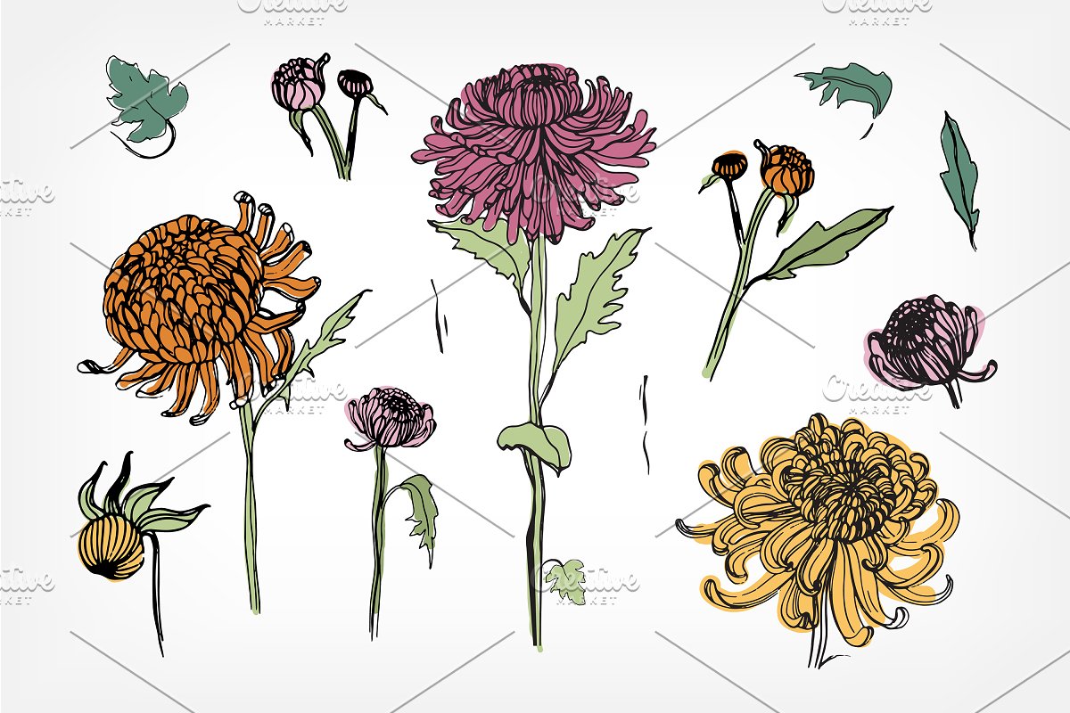 Hand drawn vector collection with floral elements for your project.