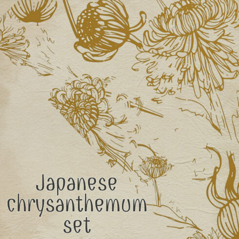 Japanese chrysanthemum set image preview.