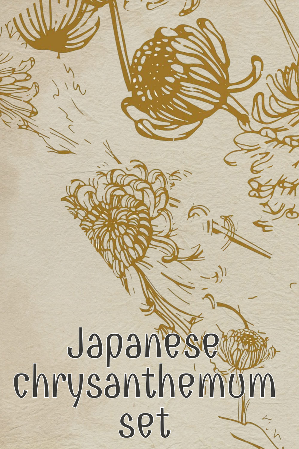 japanese chrysanthemum set 04