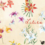 Watercolor Lilies Pack - preview image.