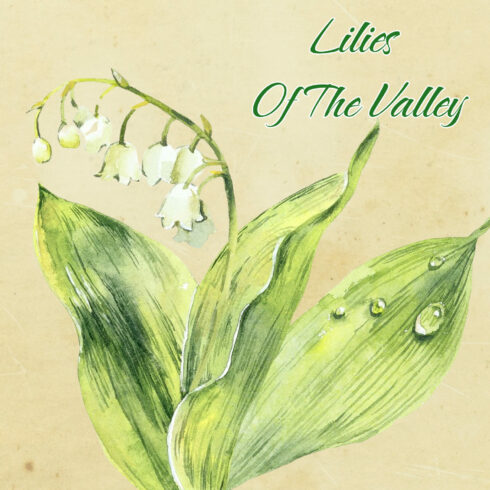 13+ Lily of the Valley Cliparts 2023: Premium Products & Bundles - [MB]