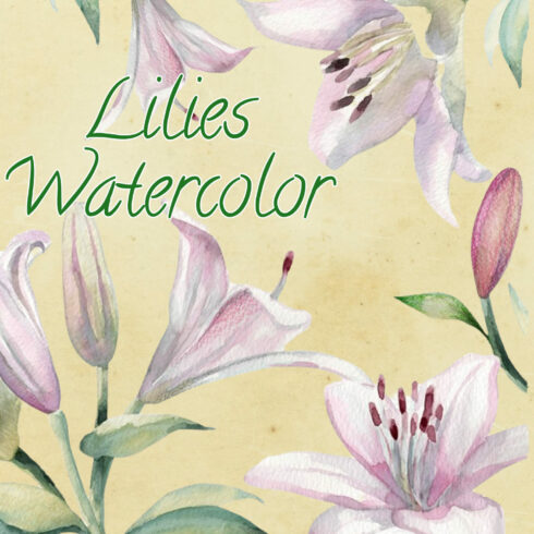 Lilies Watercolor Flower Clip Art - preview image.