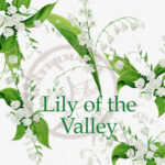 Real hand painted watercolor Lily Of The Valley flowers and leaves clip arts.