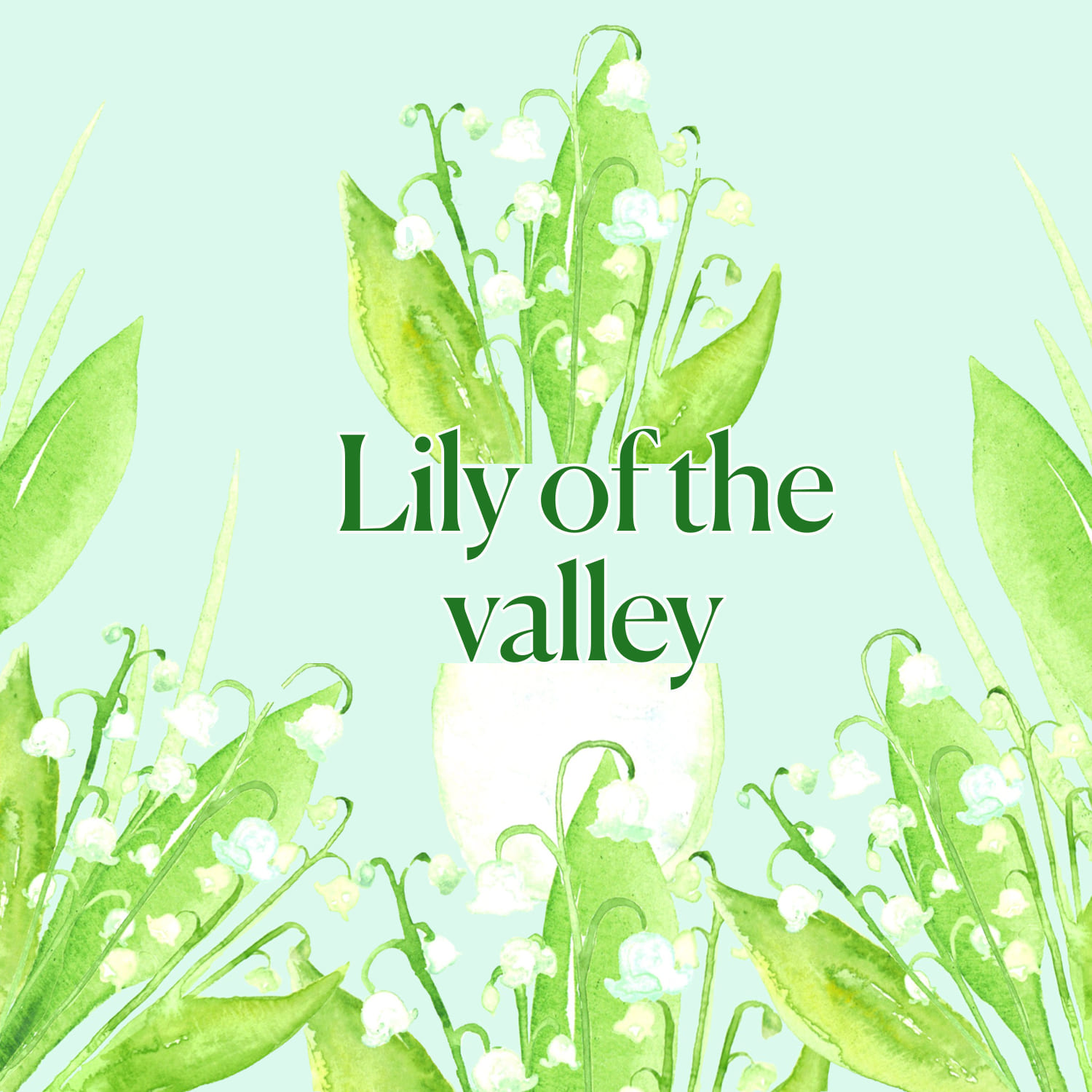 Lily of the valley watercolour digital clip art.
