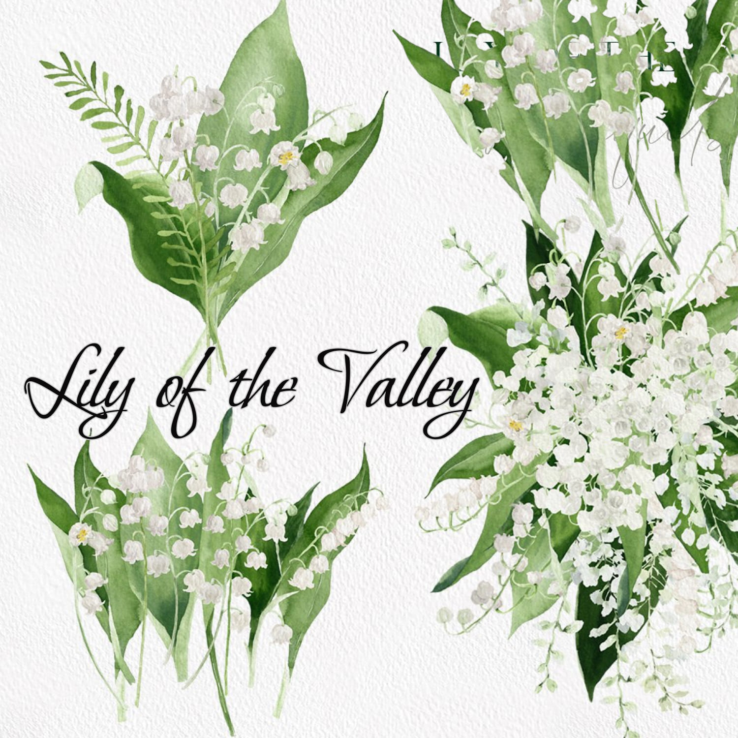 Lily of the Valley Watercolor Collection - preview image.