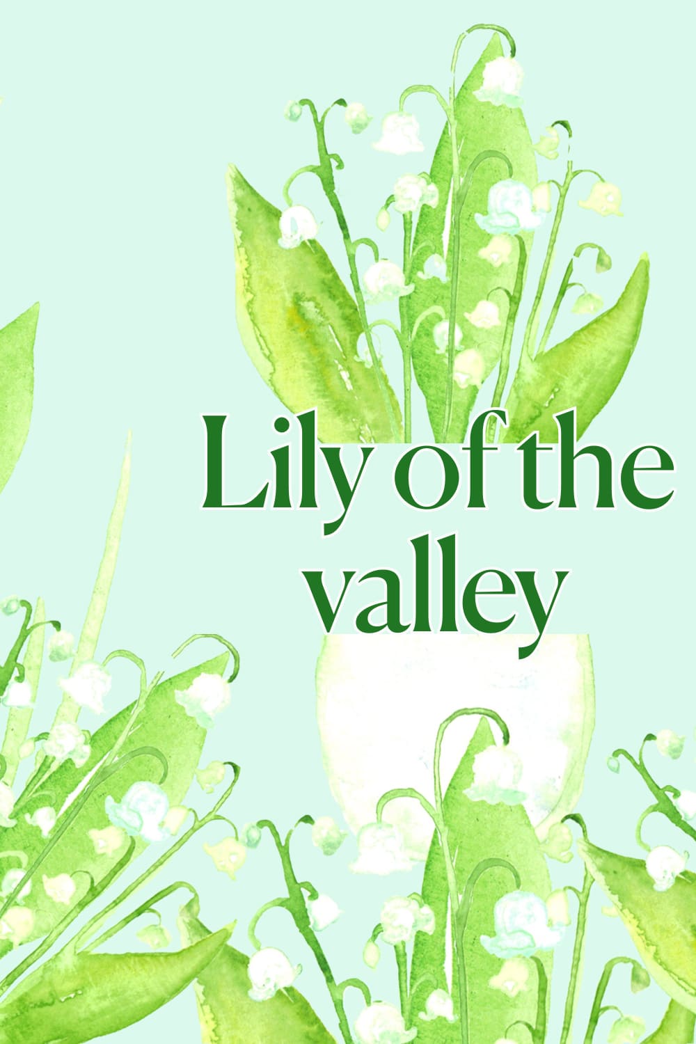 Lily Of The Valley Watercolors - preview image.