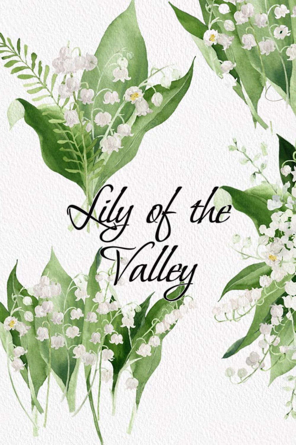 lily of the valley 04