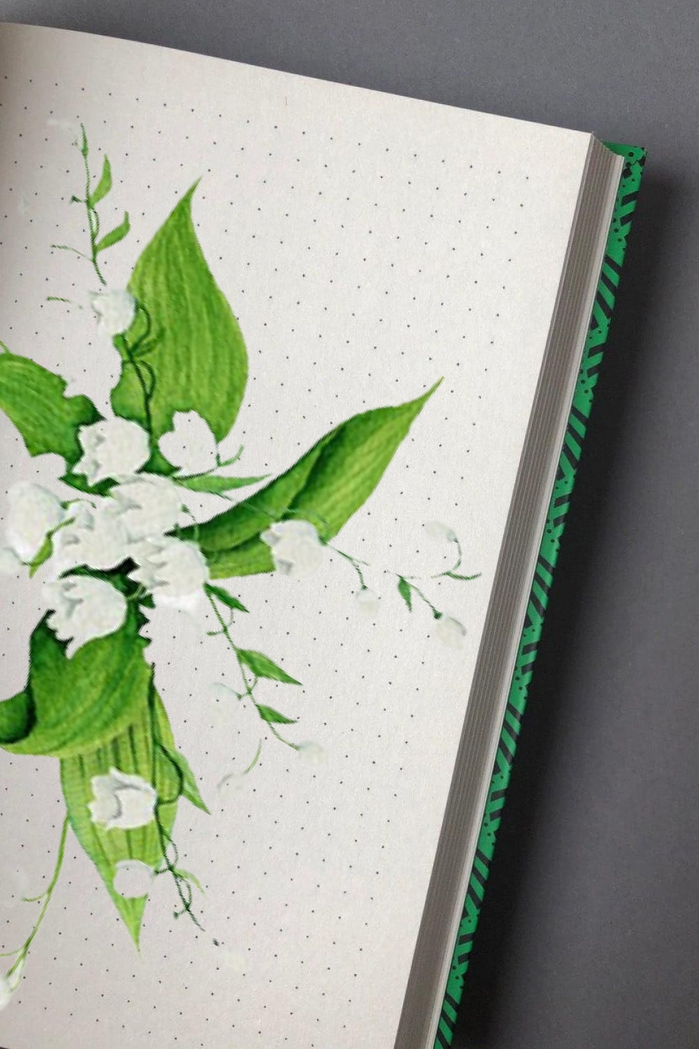 Gorgeous hand-drawn floral lily art illustrations.