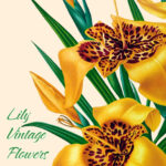 Vintage Watercolor Flowers image preview.