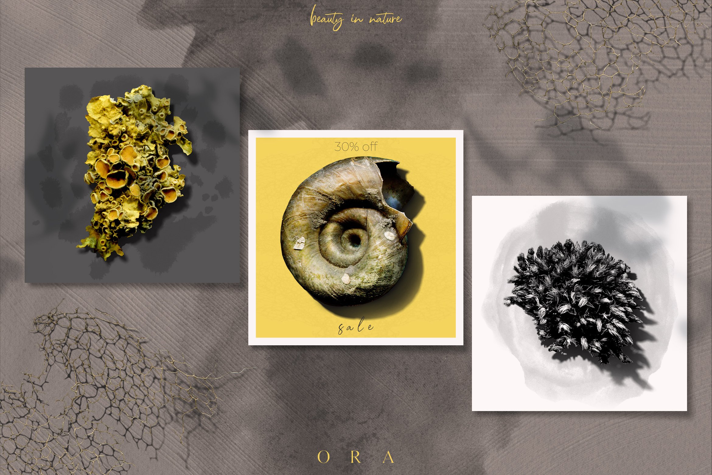 Ora - Ink & Nature Organic Graphics CollectionAesthetic style with natural objects.