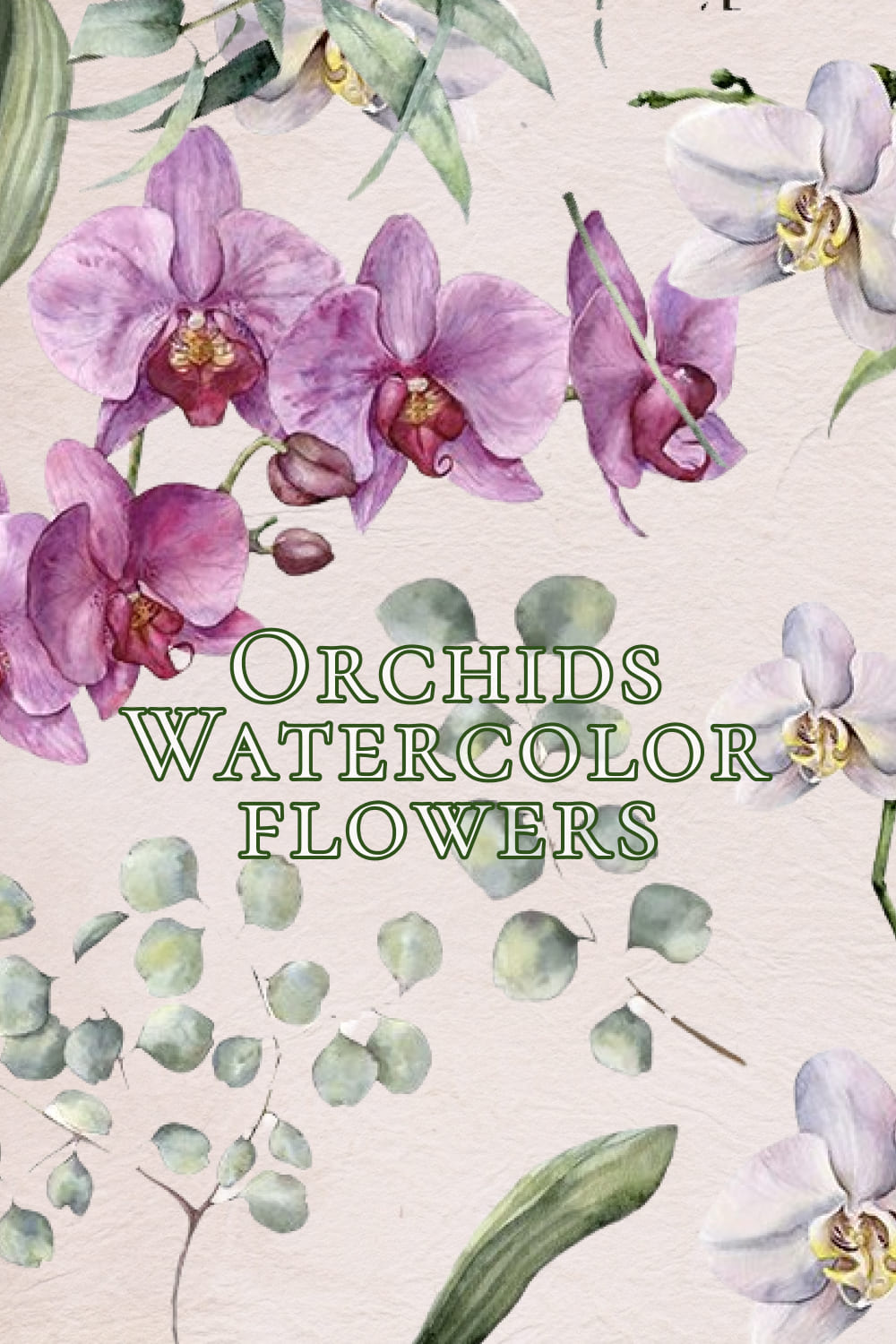 Orchids. Watercolor Flowers Clipart - preview image.