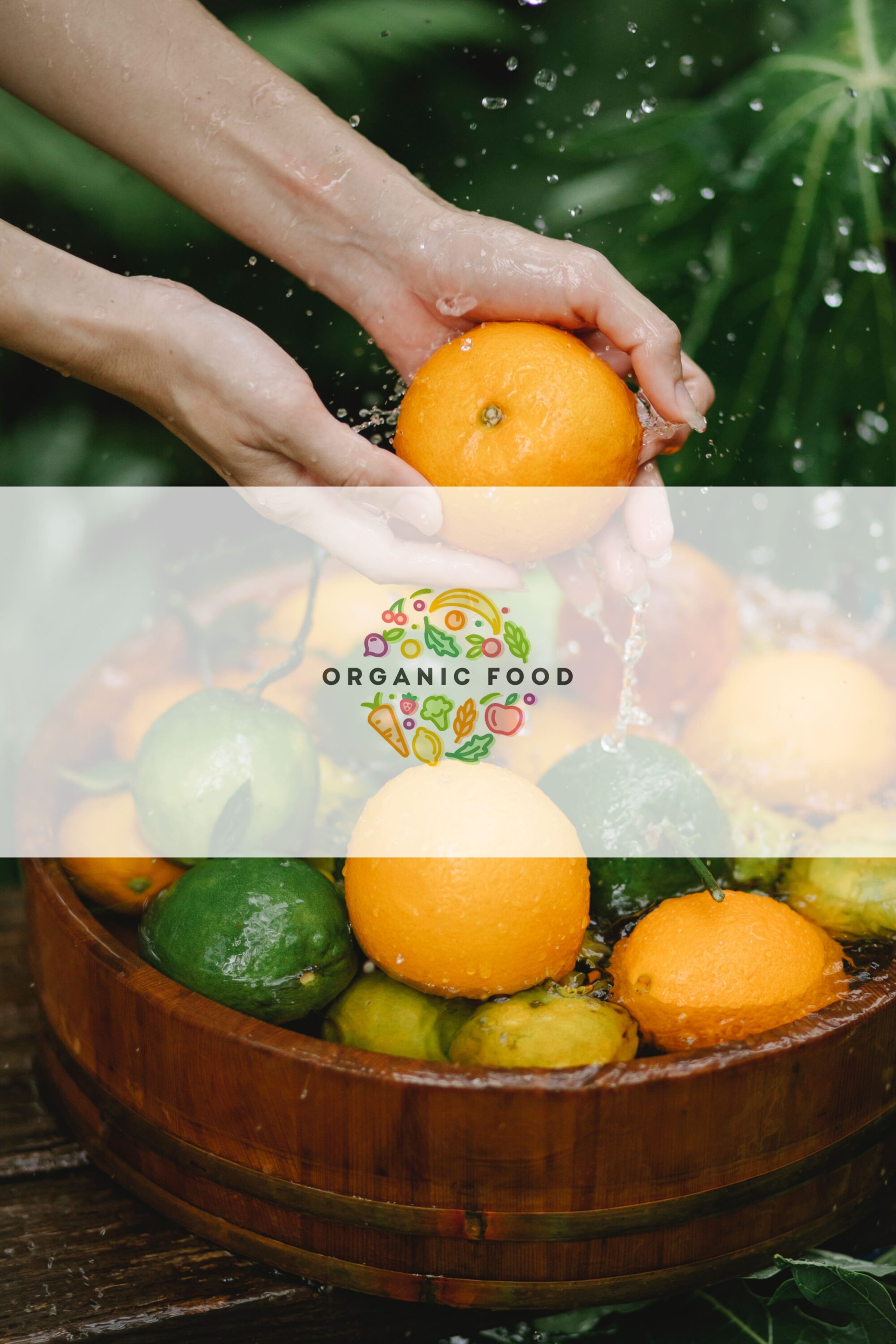 organic food logo 04