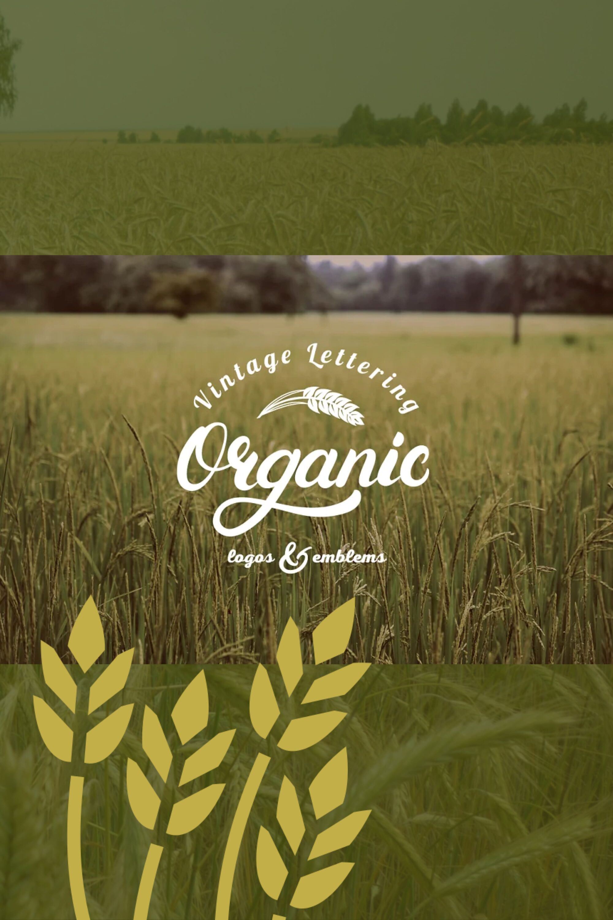 organic logo set 06
