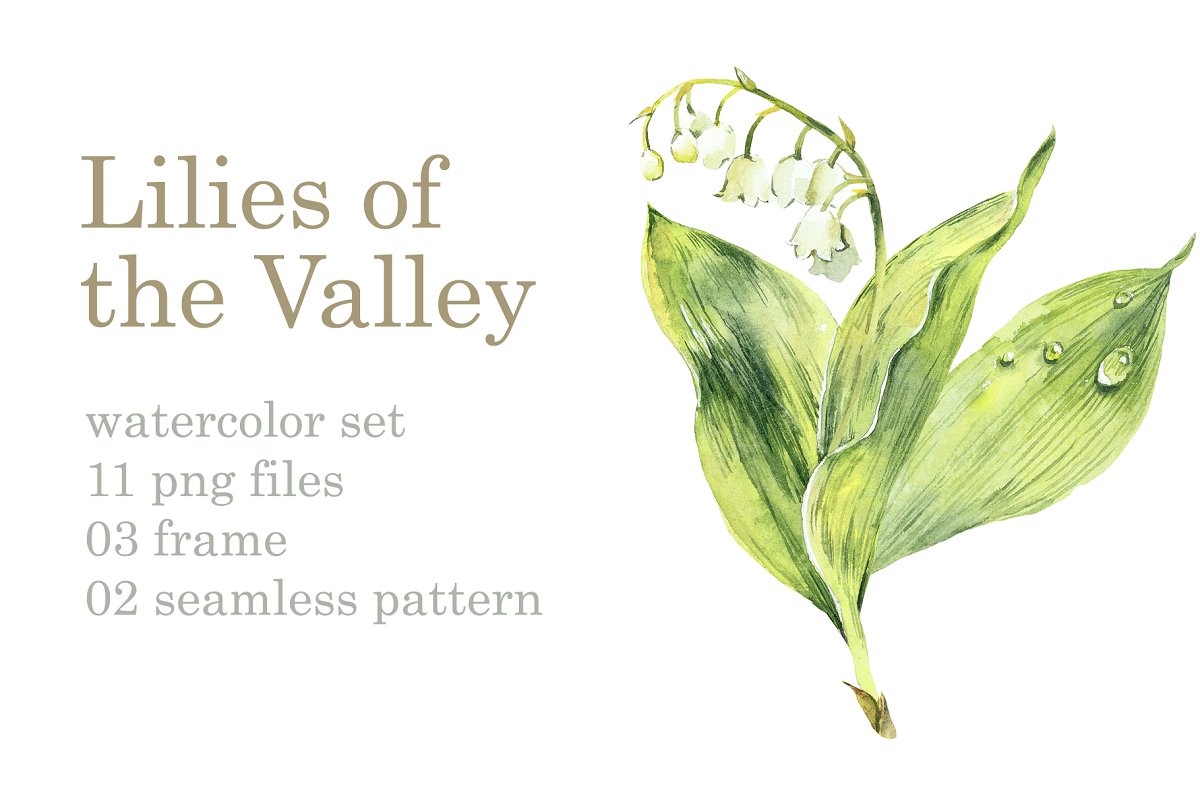 Cover image of Watercolor Lilies Of The Valley.