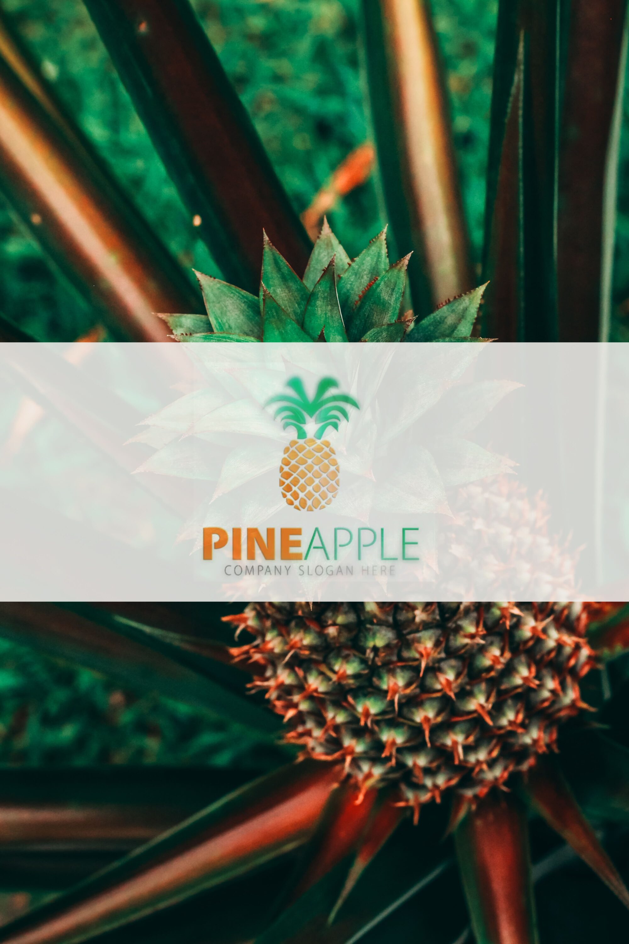 pineapple logo 04 1
