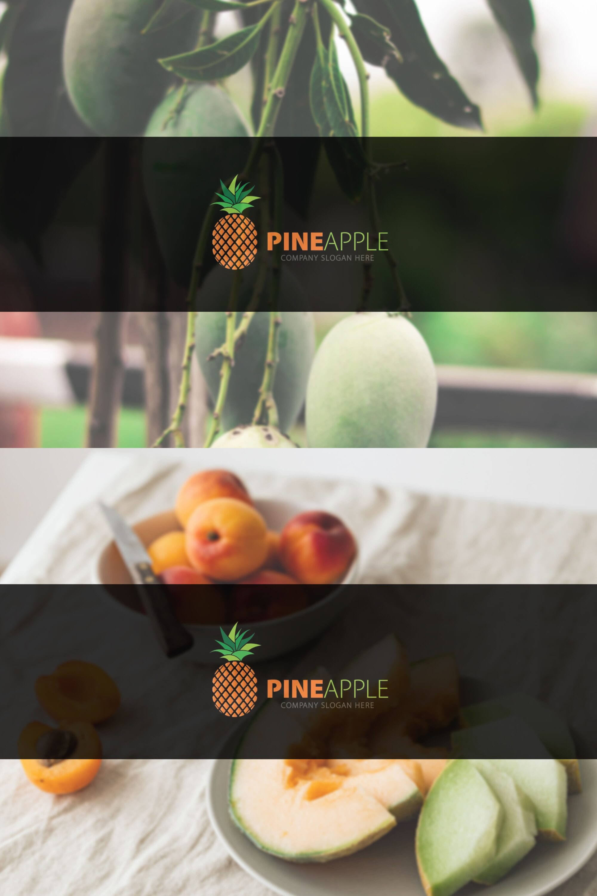 pineapple logo 05 3