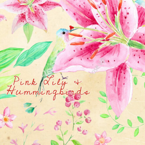 24 Hand painted watercolor pink lily, decorative berries, leaves and humming birds.