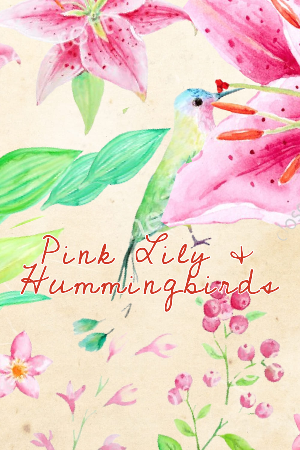 Watercolor Pink Lily & Humming Birds - preview image.