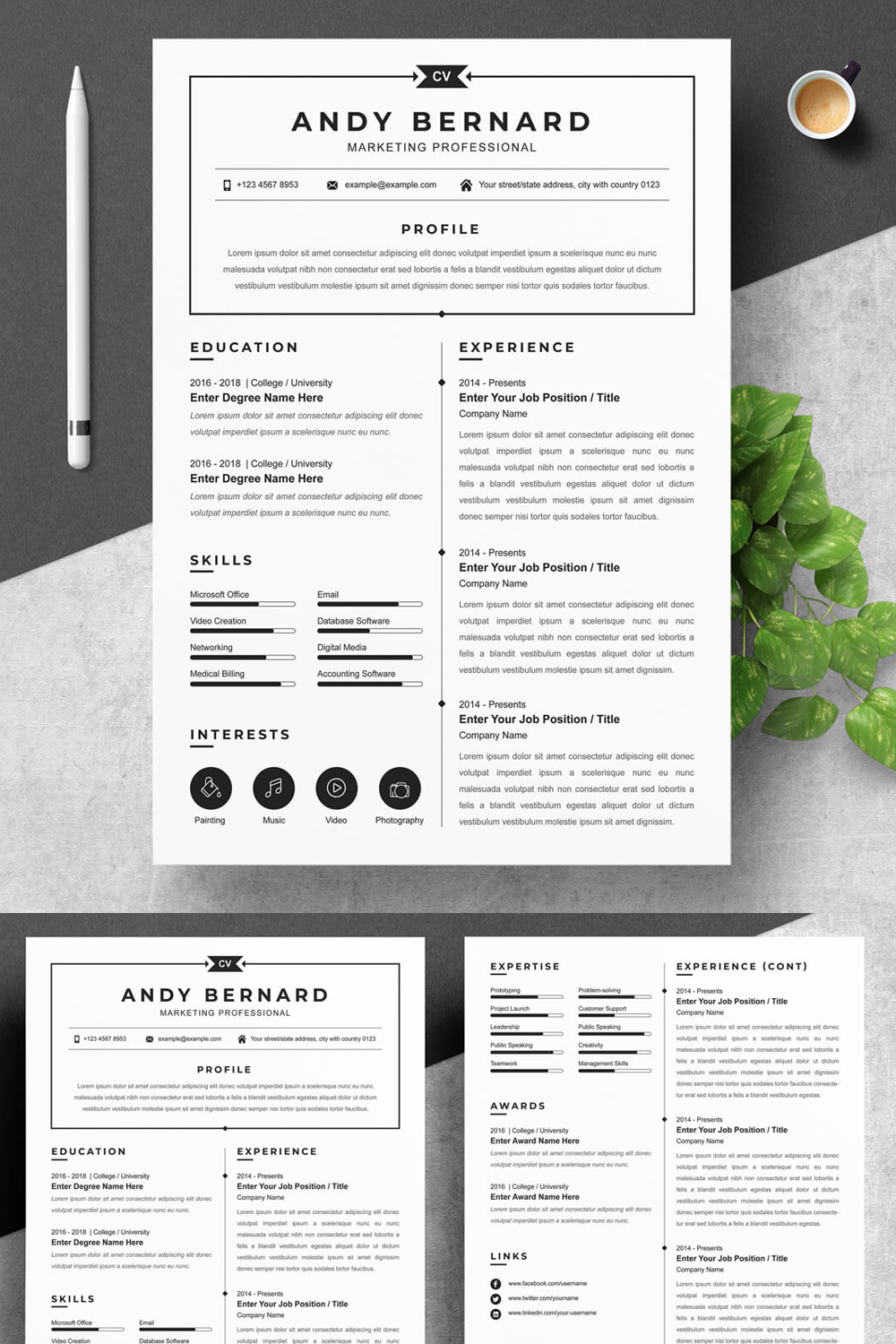 Professional resume template with a clean and modern design.