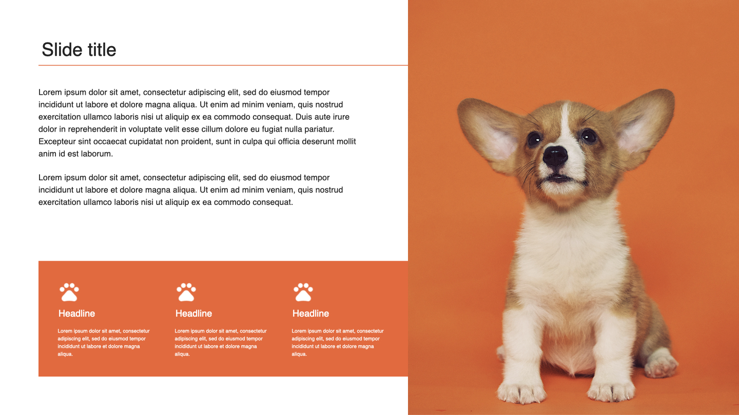 Cool slide for pets portfolio.