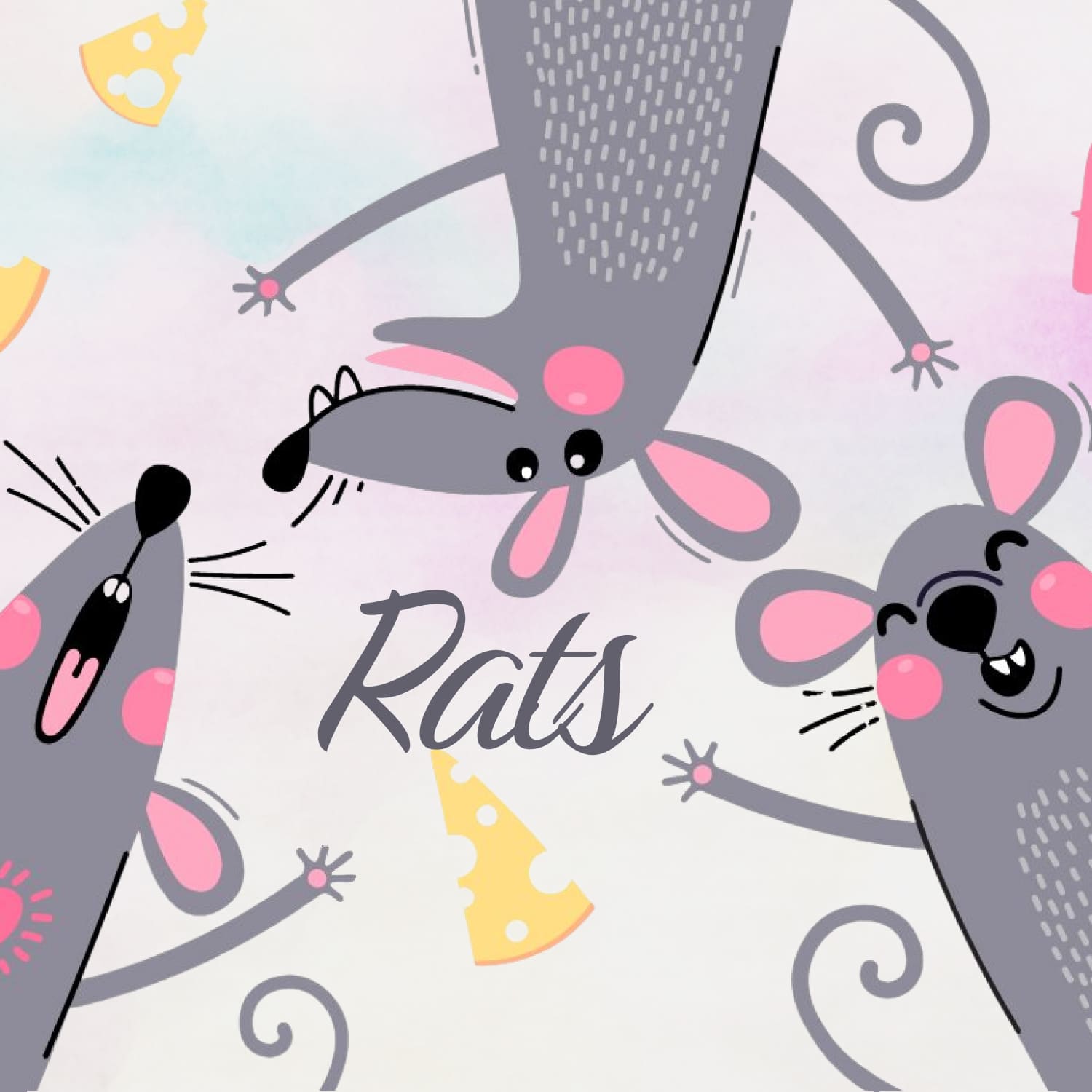Cute and funny rats for your design.