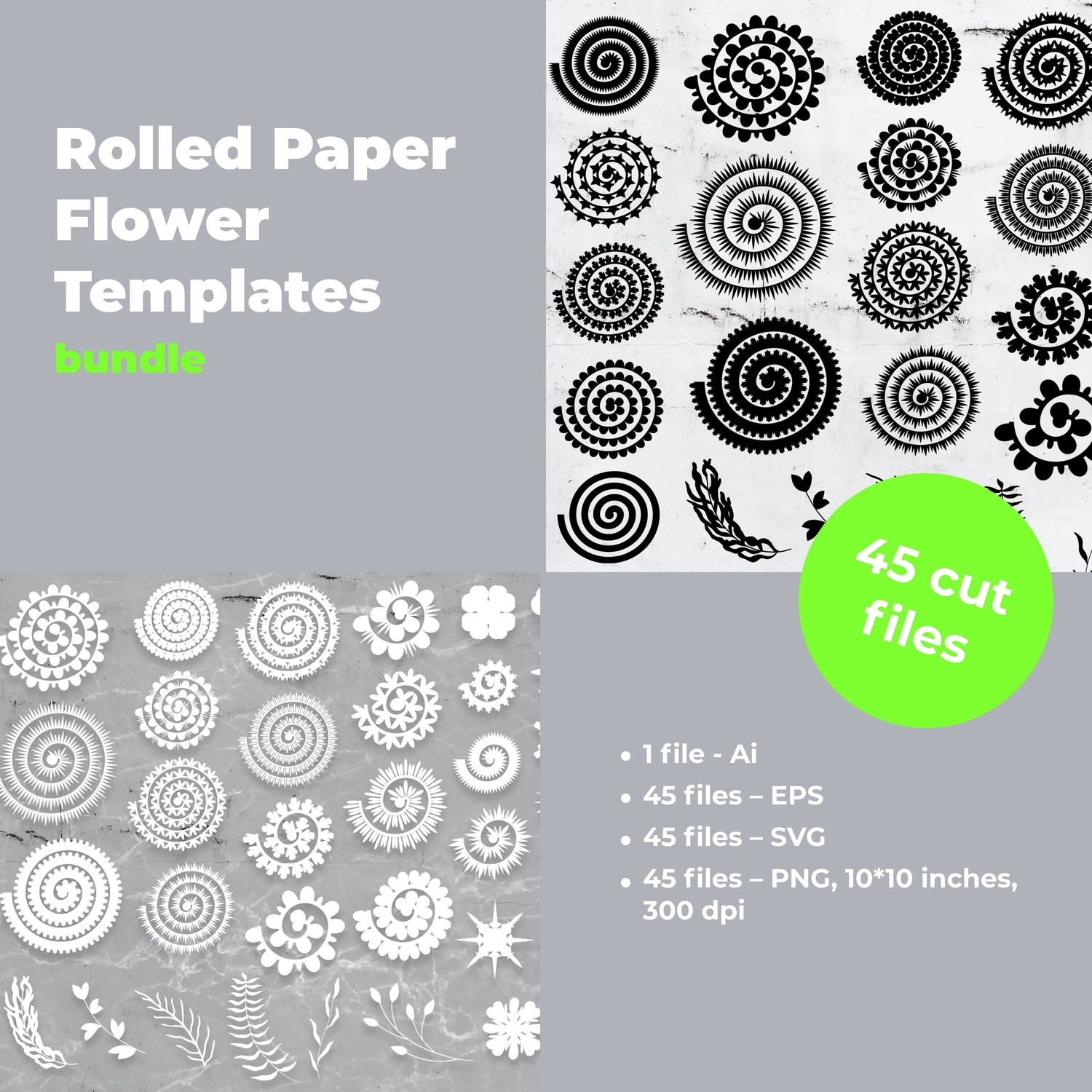 Rolled Paper Flower Templates SVG, Flower Center SVG bundle main cover.