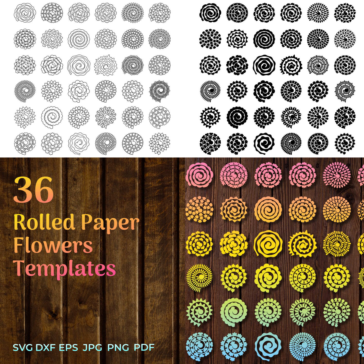 Rolled Paper Flowers SVG. Rolled Flower SVG. Papercut Flower cover image.
