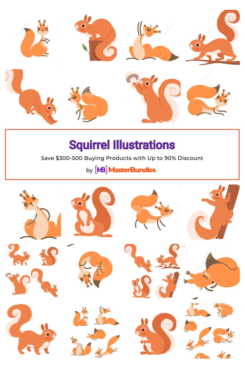 squirrel illustrations pinterest image.