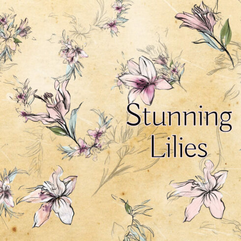 A stunning set of graphic pencil lilies combined with watercolors.