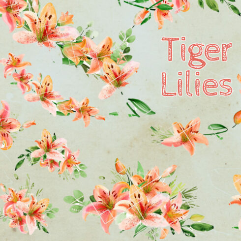 Tiger Lilies - preview image.