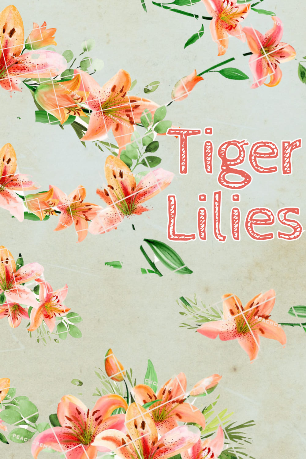 tiger lilies 04