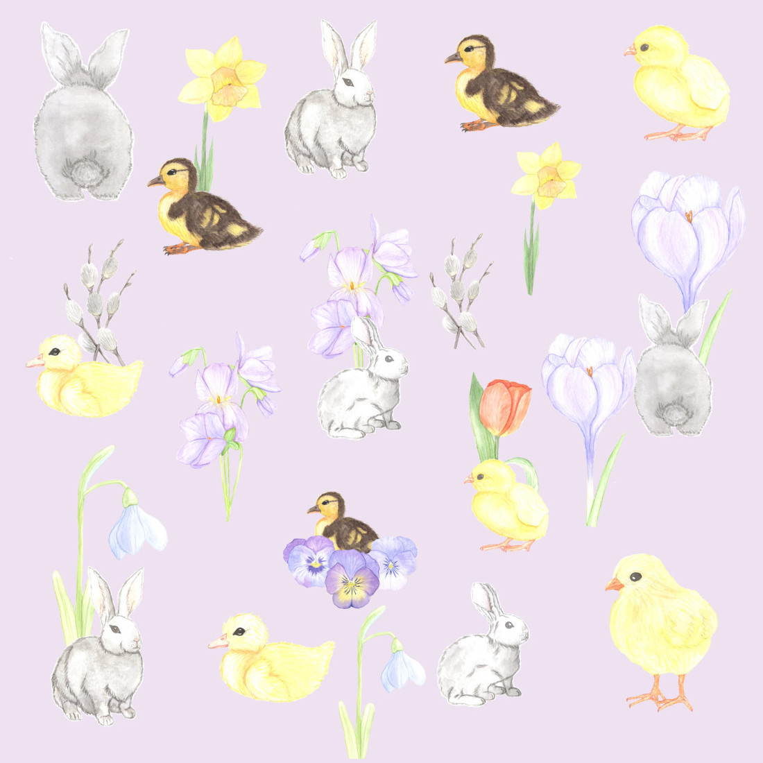 Cute Animals and Spring Flowers Collection cover image.