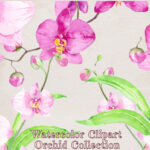 Hand painted watercolor clipart Orchid Collection.