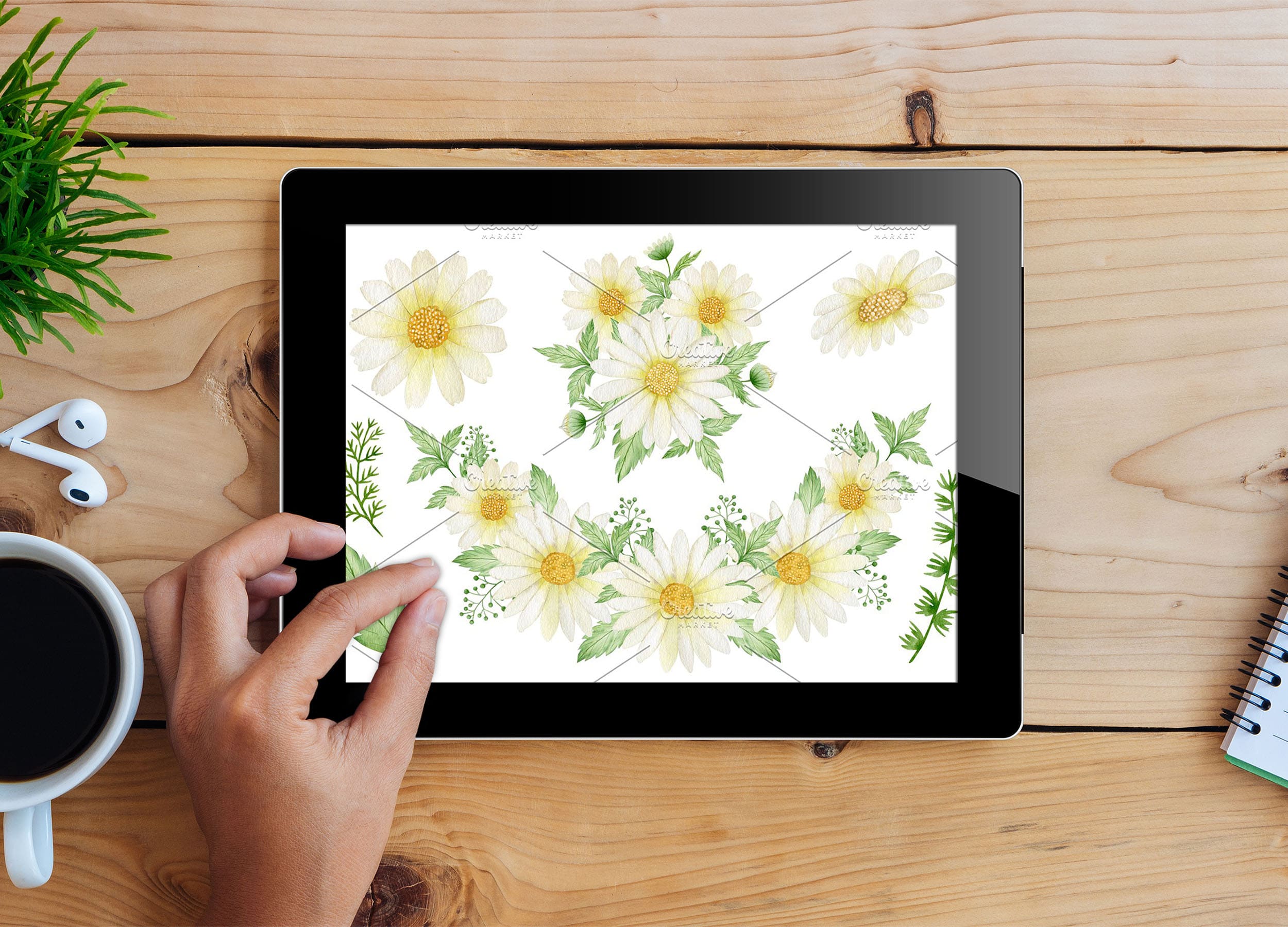 Watercolor Daisy. Seamless Patterns. - tablet.