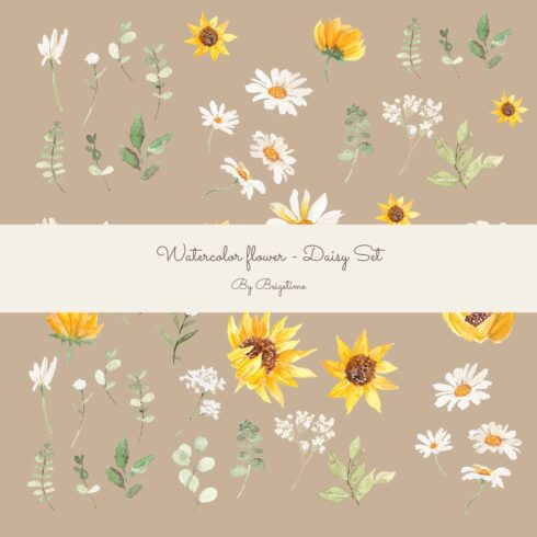 Watercolor flower - Daisy Set.