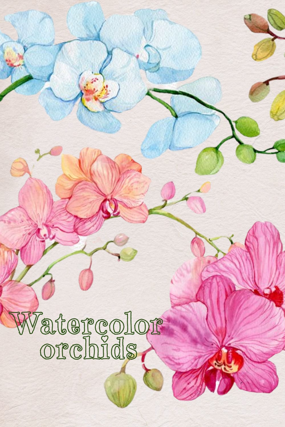 Watercolor Clipart/Orchids /Wreaths - preview image.