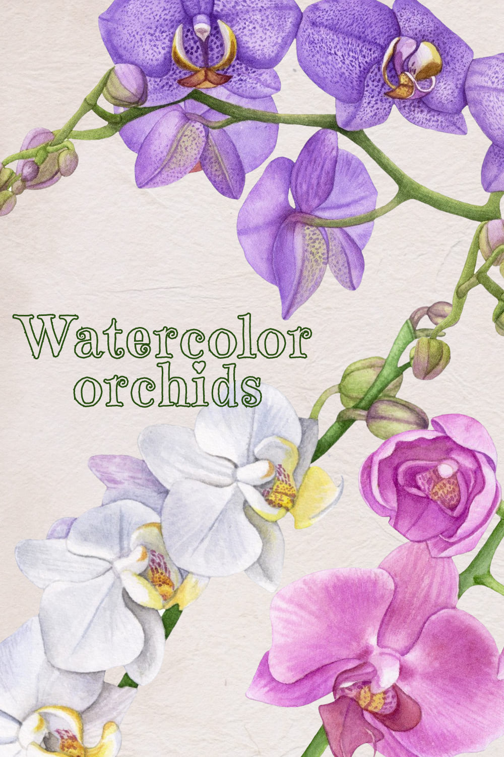 Watercolor Orchids - preview image.